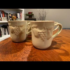 Casafina Mug Set Madeira Stone